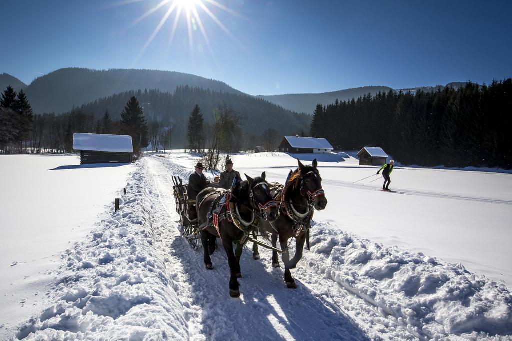 Pension Speckmoser Бад-Миттерндорф Экстерьер фото