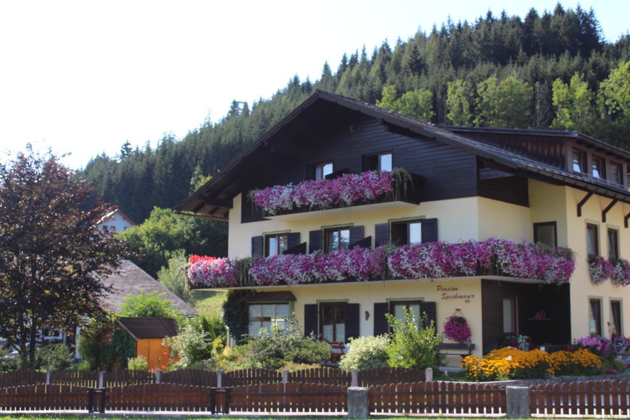 Pension Speckmoser Бад-Миттерндорф Экстерьер фото