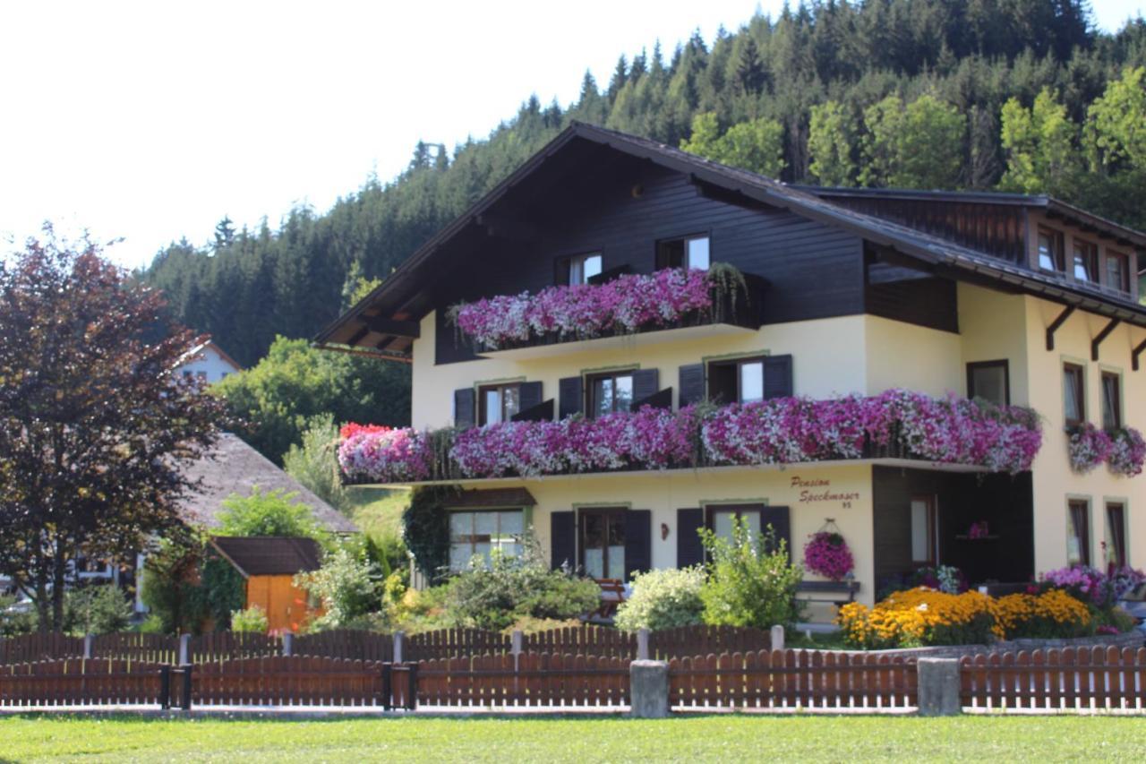 Pension Speckmoser Бад-Миттерндорф Экстерьер фото